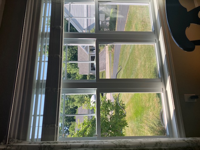 windows dining room